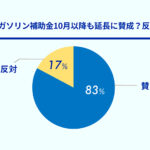 ガソリン補助金10月以降も延長に賛成？反対？の円グラフ