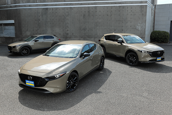 69643b73681ae902d22f039134bb15