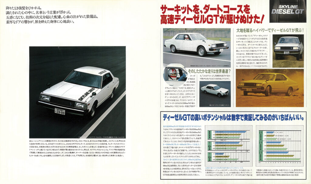 スカイライン02